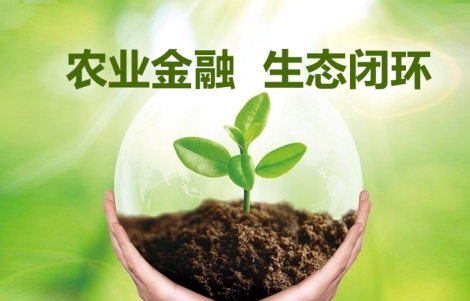 信和大金融 結合三位一體政策，擘畫農業四步戰略新藍圖——青海新聞網金融產業速遞